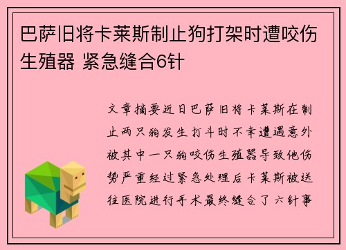 巴萨旧将卡莱斯制止狗打架时遭咬伤生殖器 紧急缝合6针